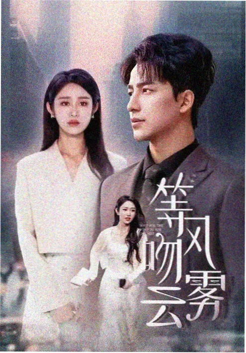 热播剧集《长夜将明》海报